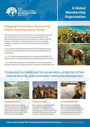 ties-overview-banner